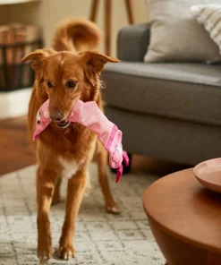 Frisco Flamingo Firehose Squeaky Dog Toy -The Frisco Store 233609 PT3. SY630 V1600974084