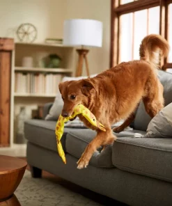 Frisco Giraffe Firehose Squeaky Dog Toy -The Frisco Store 233611 PT3. SY630 V1600974060