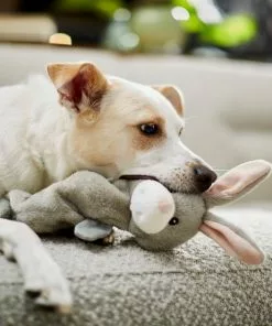 Frisco Bungee Plush Squeaky Bunny Dog Toy 7 Frisco Bungee Plush Squeaky Bunny Dog Toy -The Frisco Store 233612 PT3. SY630 V1600974360