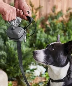 Frisco Large Size Dog Poop Bags with Fabric Dispenser, 30 count -The Frisco Store 237013 PT6. SY630 V1610762789