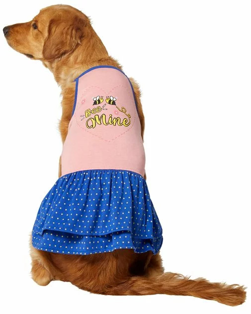 Frisco Bee Mine Dog & Cat Dress 3 Frisco Bee Mine Dog & Cat Dress