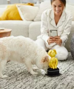 Frisco Zoomies & Chill Award Plush Squeaky Dog Toy -The Frisco Store 241705 PT6. SY630 V1610768309