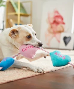 Frisco Candy Hearts Plush with Rope Squeaky Dog Toy 7 Frisco Candy Hearts Plush with Rope Squeaky Dog Toy -The Frisco Store 241725 PT6. SY630 V1607989337