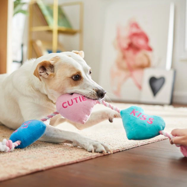 Frisco Candy Hearts Plush with Rope Squeaky Dog Toy 5 Frisco Candy Hearts Plush with Rope Squeaky Dog Toy - Image 3