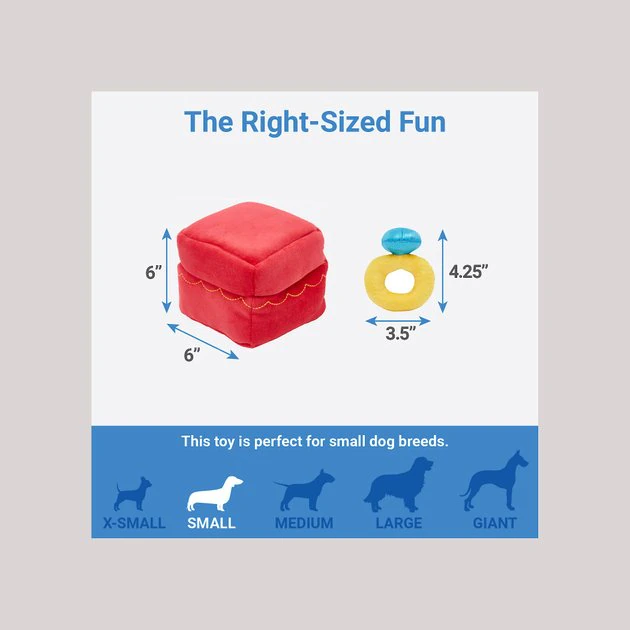 Frisco Together Furever Ring 2-in-1 Plush Squeaky Dog Toy 4 Frisco Together Furever Ring 2-in-1 Plush Squeaky Dog Toy - Image 2