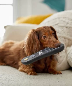 Frisco Zoomies & Chill Remote Latex Squeaky Dog Toy -The Frisco Store 241753 PT6. SY630 V1610768496