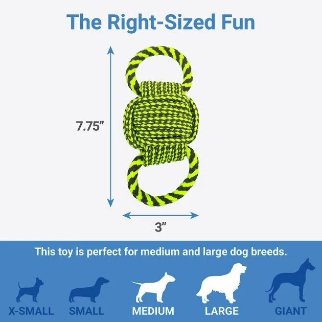 Frisco Dual Handle Neon Ball Squeaky Dog Toy, Yellow & Gray 4 Frisco Dual Handle Neon Ball Squeaky Dog Toy, Yellow & Gray - Image 2