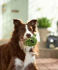 Frisco Dual Handle Neon Ball Squeaky Dog Toy, Yellow & Gray 7 Frisco Dual Handle Neon Ball Squeaky Dog Toy, Yellow & Gray -The Frisco Store 242131 PT2. SY630 V1605208693