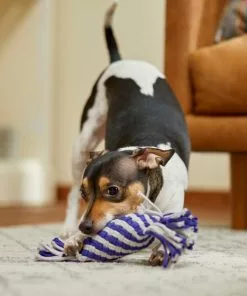 Frisco Flat Rope Squeaky Dog Toy, Purple & Gray -The Frisco Store 242133 PT2. SY630 V1605208701