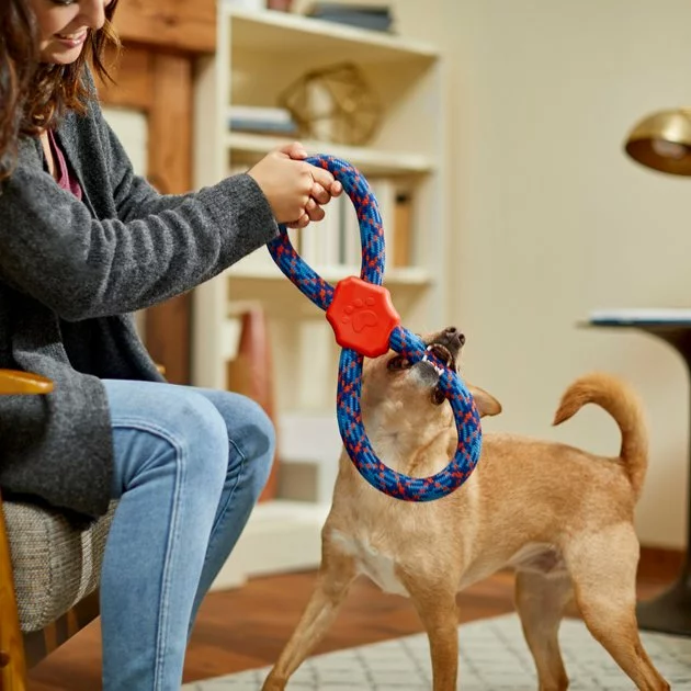 Frisco Figure 8 Rope Dog Toy, Blue & Red 5 Frisco Figure 8 Rope Dog Toy, Blue & Red - Image 3