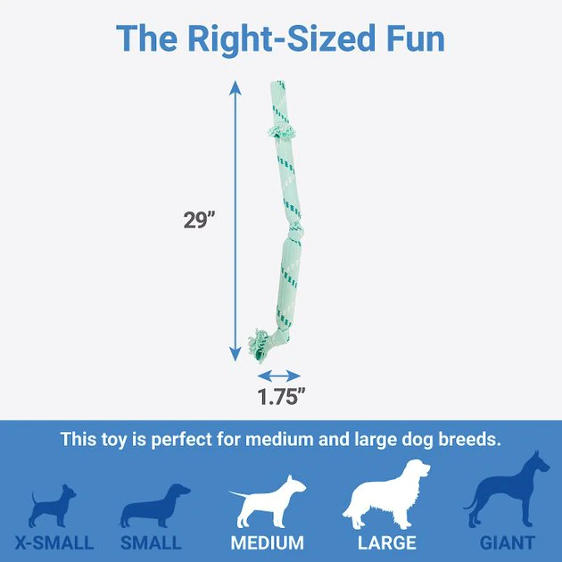 Frisco Double Fun Rope Squeaky Crinkle Dog Toy, Light Blue 4 Frisco Double Fun Rope Squeaky Crinkle Dog Toy, Light Blue - Image 2