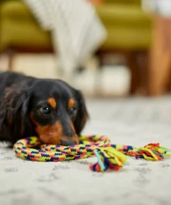 Frisco Pretzel Rope Dog Toy 7 Frisco Pretzel Rope Dog Toy -The Frisco Store 242141 PT2. SY630 V1605208795