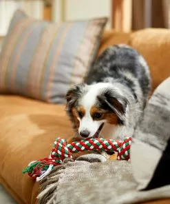 Frisco Double Knot Tri-Color Rope Dog Toy -The Frisco Store 242149 PT2. SY630 V1605208647