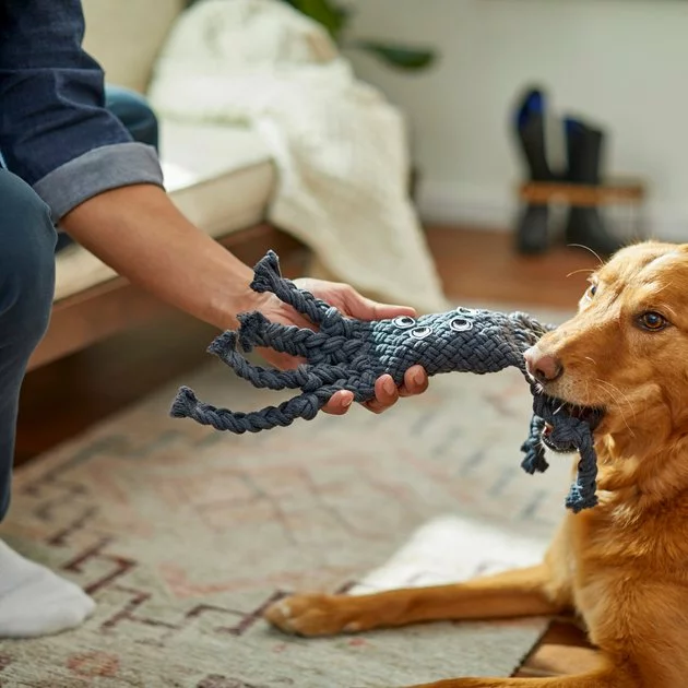 Frisco Spider Rope Squeaky Dog Toy 5 Frisco Spider Rope Squeaky Dog Toy - Image 3