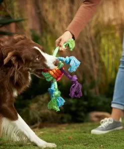 Frisco Colorful Ball Knot Rope Dog Toy 7 Frisco Colorful Ball Knot Rope Dog Toy -The Frisco Store 242160 PT2. SY630 V1605208734