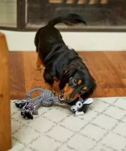 Frisco Zebra Rope Squeaky Dog Toy -The Frisco Store 242163 PT2. SY630 V1609336949
