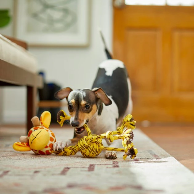 Frisco Giraffe Rope Squeaky Dog Toy 5 Frisco Giraffe Rope Squeaky Dog Toy - Image 3