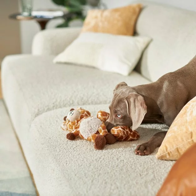 Frisco Giraffe Plush Multipack Puppy Toy, 2 count 5 Frisco Giraffe Plush Multipack Puppy Toy, 2 count - Image 3