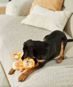 Frisco Lion Plush Multipack Puppy Toy, 2 count -The Frisco Store 245918 PT2. SY630 V1607372049