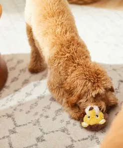 Frisco Lion Plush Squeaky Dog Toy 7 Frisco Lion Plush Squeaky Dog Toy -The Frisco Store 245926 PT2. SY630 V1607372008