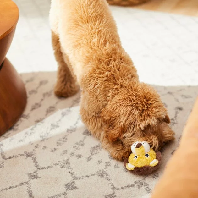 Frisco Lion Plush Squeaky Dog Toy 5 Frisco Lion Plush Squeaky Dog Toy - Image 3