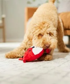 Frisco Fox Disc Plush Squeaky Dog Toy 7 Frisco Fox Disc Plush Squeaky Dog Toy -The Frisco Store 245928 PT2. SY630 V1607371965