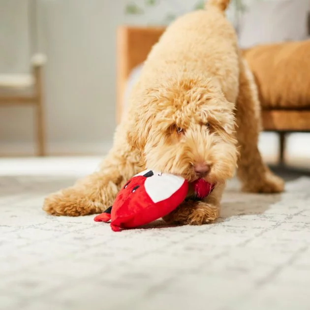 Frisco Fox Disc Plush Squeaky Dog Toy 5 Frisco Fox Disc Plush Squeaky Dog Toy - Image 3