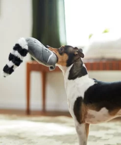 Frisco Raccoon Disc Plush Squeaky Dog Toy -The Frisco Store 245930 PT2. SY630 V1607372013