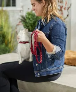 Frisco Buffalo Check Dog Leash -The Frisco Store 246994 PT3. SY630 V1606866429