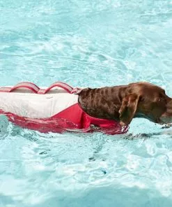 Frisco Rugged Dog Life Jacket -The Frisco Store 247878 PT8. SY630 V1616505716