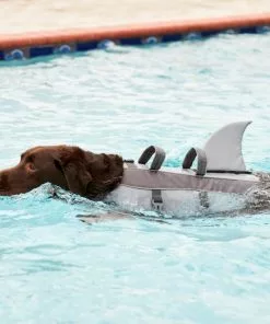 Frisco Shark Dog Life Jacket -The Frisco Store 247884 PT8. SY630 V1616505926