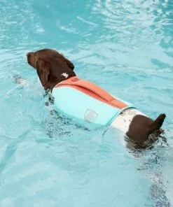 Frisco Active Dog Life Jacket 19 Frisco Active Dog Life Jacket -The Frisco Store 247890 PT8. SY630 V1616505897