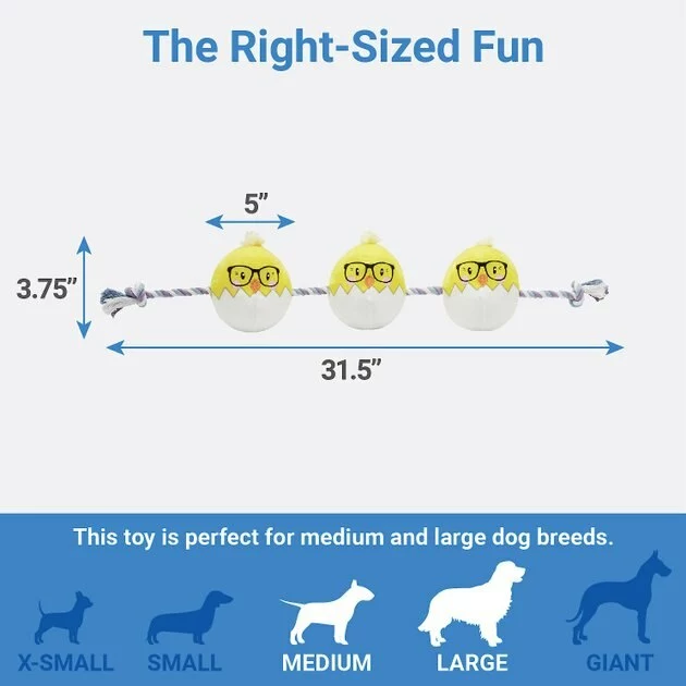 Frisco Easter Hipster Chicks Plush with Rope Dog Toy 4 Frisco Easter Hipster Chicks Plush with Rope Dog Toy - Image 2