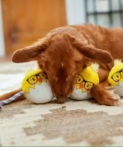 Frisco Easter Hipster Chicks Plush with Rope Dog Toy 7 Frisco Easter Hipster Chicks Plush with Rope Dog Toy -The Frisco Store 248031 PT5. SY630 V1608767875