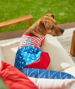 Frisco USA Dog & Cat Dress 12 Frisco USA Dog & Cat Dress -The Frisco Store 248659 PT4. SY630 V1632418898