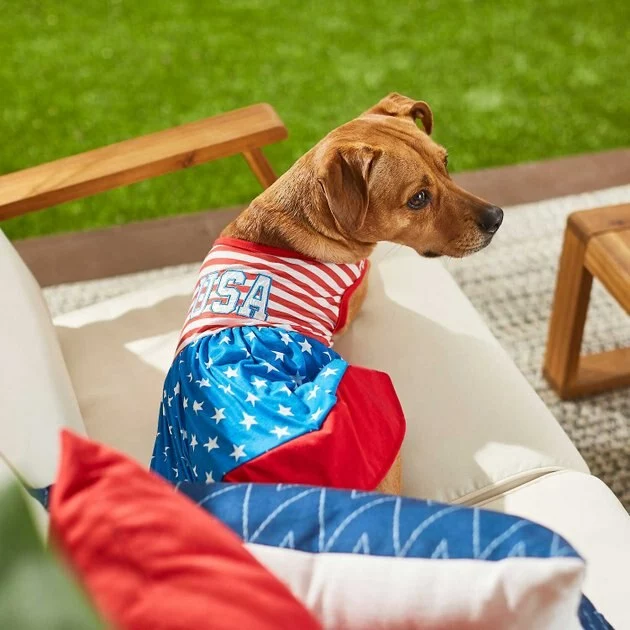 Frisco USA Dog & Cat Dress 7 Frisco USA Dog & Cat Dress - Image 5