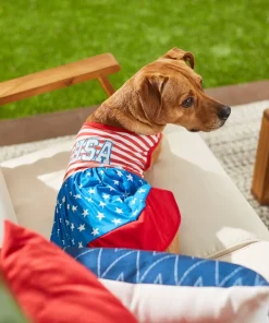 Frisco USA Dog & Cat Dress 13 Frisco USA Dog & Cat Dress -The Frisco Store 248659 PT7. SY630 V1614029540