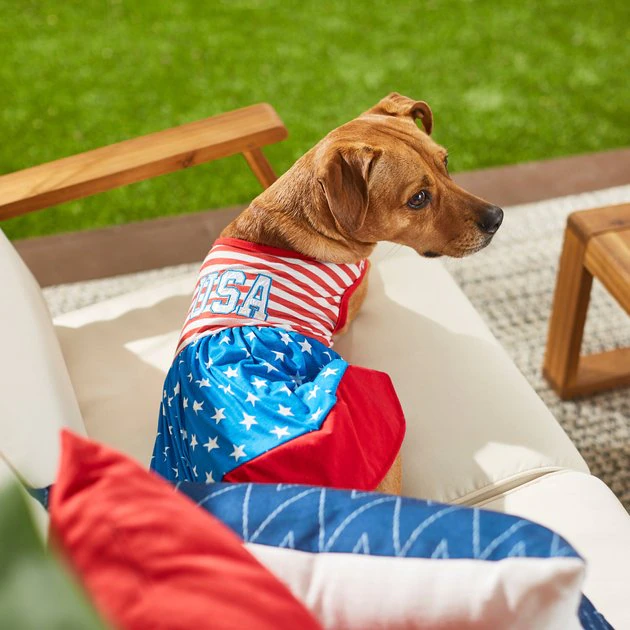 Frisco USA Dog & Cat Dress 8 Frisco USA Dog & Cat Dress - Image 6