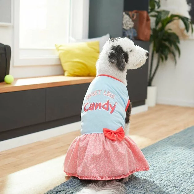 Frisco Sweet Like Candy Dog & Cat Dress 7 Frisco Sweet Like Candy Dog & Cat Dress - Image 5