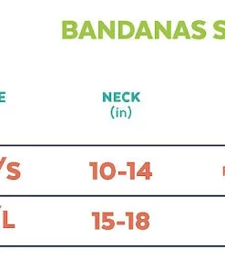 Frisco Birthday Prince Dog & Cat Bandana -The Frisco Store 248694 PT1. SY630 V1633057906