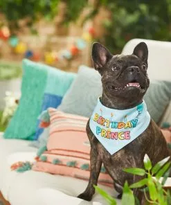 Frisco Birthday Prince Dog & Cat Bandana -The Frisco Store 248694 PT7. SY630 V1614031677
