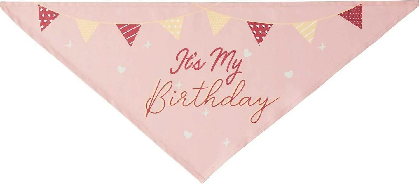 Frisco It's My Birthday Dog & Cat Bandana, Pink 6 Frisco It's My Birthday Dog & Cat Bandana, Pink - Image 4