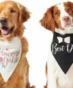 Frisco Wedding Reversible Dog & Cat Bandana 11 Frisco Wedding Reversible Dog & Cat Bandana -The Frisco Store 248712 PT2. SY630 V1632429387