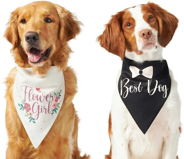 Frisco Wedding Reversible Dog & Cat Bandana 5 Frisco Wedding Reversible Dog & Cat Bandana - Image 3