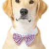 Frisco Plaid Dog & Cat Bow Tie, Red & Blue 1 Frisco Plaid Dog & Cat Bow Tie, Red & Blue -The Frisco Store 248722 MAIN. SY630 V1613766402
