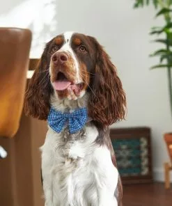 Frisco Plaid Dog & Cat Bow Tie, Blue 9 Frisco Plaid Dog & Cat Bow Tie, Blue -The Frisco Store 248727 PT7. SY630 V1614362538