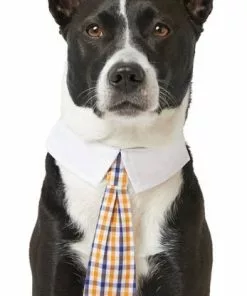 Frisco Plaid Dog & Cat Neck Tie, Orange & Blue