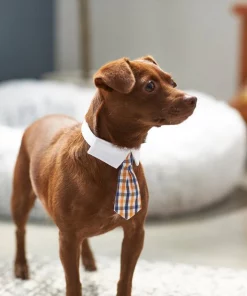 Frisco Plaid Dog & Cat Neck Tie, Orange & Blue -The Frisco Store 248737 PT7. SY630 V1614366222