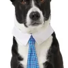 Frisco Plaid Dog & Cat Neck Tie, Blue Plaid -The Frisco Store 248738 MAIN. SY630 V1614365493