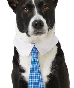Frisco Plaid Dog & Cat Neck Tie, Blue Plaid